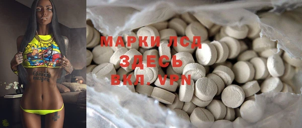 PSILOCYBIN Покачи