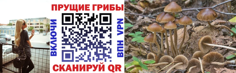 сколько стоит Борисоглебск Псилоцибиновые грибы мухоморы